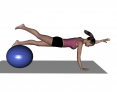 Stability Ball Advanced Opposite Arm and Leg Raise