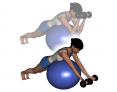 Stability Ball Prone Intermediate Bilateral Dumbbell Preacher Curls