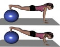 Stability Ball Prone Advanced Ball Walk-out with Push-up