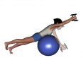 Stability Ball Prone Advanced Bilateral Dumbbell Front Raise