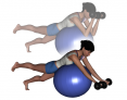 Stability Ball Prone Advanced Bilateral Dumbbell Preacher Curls