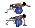 Stability Ball Prone Advanced Bilateral Rear Deltoid Dumbbell Fly