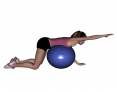 Stability Ball Prone Alternating Arm Lifts with Ball on Trunk