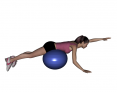 Stability Ball Prone Alternating Arm Lifts with Ball under Hips