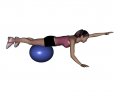Stability Ball Prone Alternating Arm Lifts with Ball under Thighs