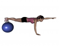 Stability Ball Prone Alternating Arm Lifts with Ball under Toes