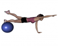 Stability Ball Prone Alternating Bird Dog with Ball under Shins