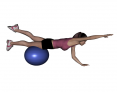 Stability Ball Prone Alternating Bird Dob with Ball under Thighs
