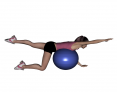 Stability Ball Prone Alternating Bird Dog with Ball on Trunk