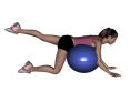 Stability Ball Prone Alternating Leg Lifts with Ball on Trunk