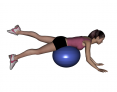 Stability Ball Prone Alternating Leg Lifts with Ball under Hips