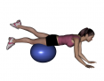 Stability Ball Prone Alternating Leg Lifts with Ball under Thighs