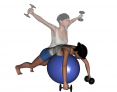 Stability Ball Prone Bilateral Low to High Dumbbell Reverse Fly