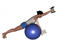 Stability Ball Prone Intermediate Bilateral Dumbbell Front Raise
