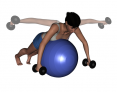 Stability Ball Prone Intermediate Bilateral Rear Deltoid Dumbbell Fly
