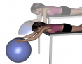 Stability Ball Prone Pendulum From Elevated Surface
