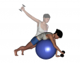 Stability Ball Prone Unilateral Dumbbell Reverse Fly